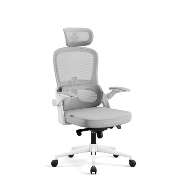 02a1b28a087b4d29243fbcde182f1bb67a48db28 Fotel biurowy ergonomiczny jasny szary Diablo V-Light