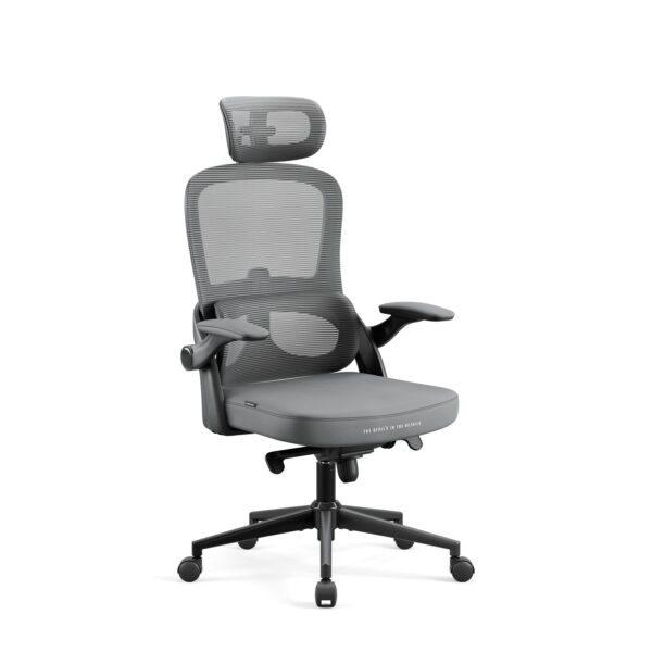 0350d8a780117975f4d63c8bb93495ebb1422abb Fotel biurowy, ergonomiczny Diablo V-Light, szary