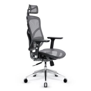0aa86fb4e38969c4fa155f9d2ed0d5c53cb20811 Fotel ergonomiczny Diablo V-Basic, czarno-szary