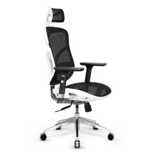 13c52f28b0e120cbb80b5501865865693799ffbd Fotel ergonomiczny Diablo V-Basic, biało-czarny