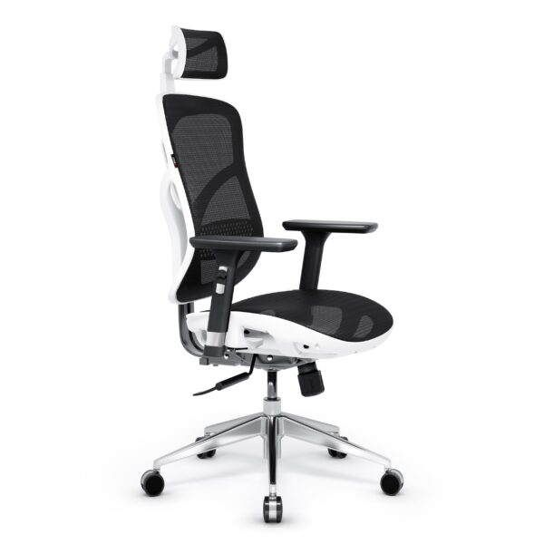 13c52f28b0e120cbb80b5501865865693799ffbd Fotel ergonomiczny Diablo V-Basic, biało-czarny
