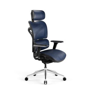 8acd45d6e54110f6fdb23bf0a6ab5d023d17ec1a Fotel ergonomiczny Diablo V-Commander: Czarno-Niebieski
