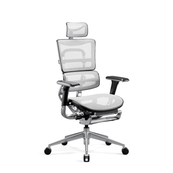 e1f48c9ea3a4285c8c1ba6683bb296e0240e1bbe Fotel ergonomiczny Diablo V-Master, czarno-biały