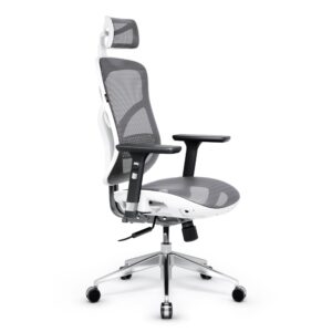 f916a3038088934c0f5ea81e6f477d7eb6ae31bc Fotel ergonomiczny Diablo V-Basic, biało-szary
