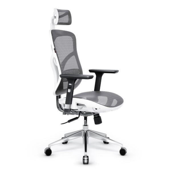 f916a3038088934c0f5ea81e6f477d7eb6ae31bc Fotel ergonomiczny Diablo V-Basic, biało-szary