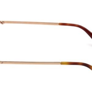 b2f28b2ea6bd79a831c6083f9c0208f9cac6a790 Okulary WEB EYEWEAR WE0218-72Z. Okulary przeciwsłoneczne, Kolor złoty. Kobieta.