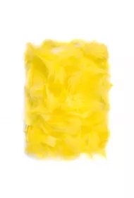 ea0e795a01090a8b4da1cc6d41c05eed83fa5e82 Piórka